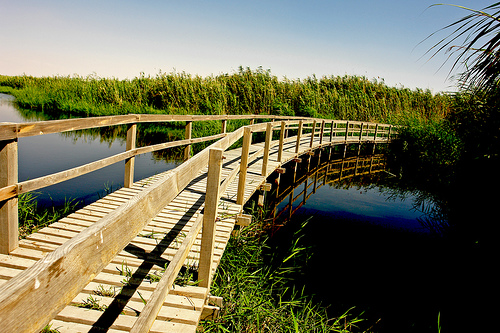Азракский парк водно-болотных угодий